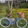 Raleigh Willow Ladies Bike Excellent Condition Size M Image 4
