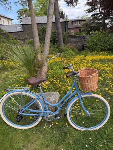 Raleigh Willow Ladies Bike Excellent Condition Size M