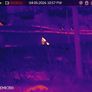 Thermal Monocular Hikmicro Lynx Pro Lh 15 Image 4