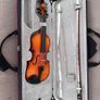 Hidersine violin 3/4 Image 2