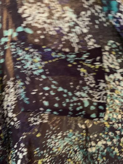 Semi sheer blouse