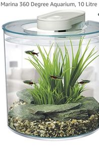 aquarium + supplies