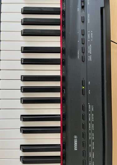 Yamaha Digital Piano P-115