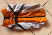 Dog Coat With Built In Harness