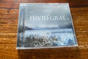 David Gray Life in Slow Motion CD