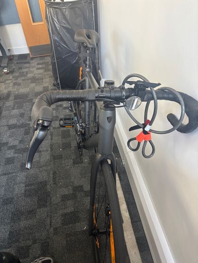 Trek Domane AL2 Gen 4