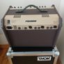 Fishman Loudbox Artist and Thon Flight case Image 6