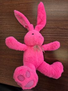 bunny teddy