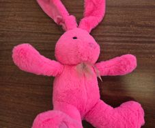 bunny teddy