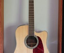 Takamine GD71CE