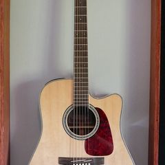 Takamine GD71CE