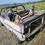 Mk1 golf 1984 Image 8