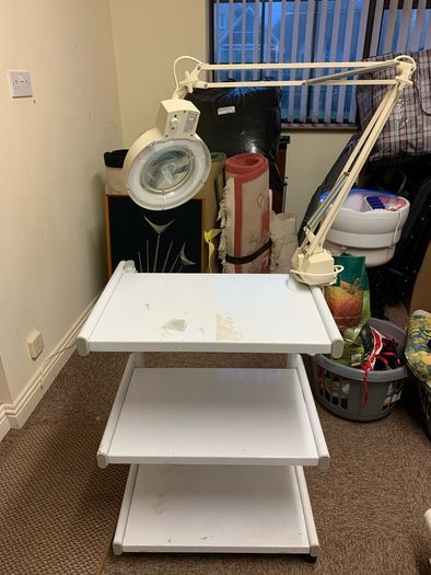 Flair beauty trolley and daylight mag lamp