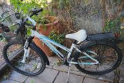 bike, teen or small adult, bicycle