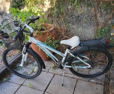 bike, teen or small adult, bicycle