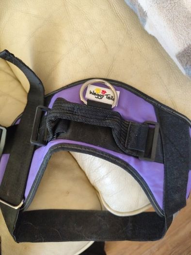 Dog Harness