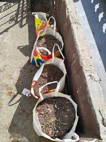 Free garden soil