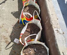 Free garden soil