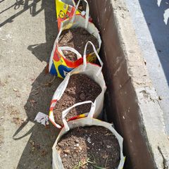 Free garden soil
