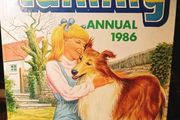 Tammy Annual 1986.