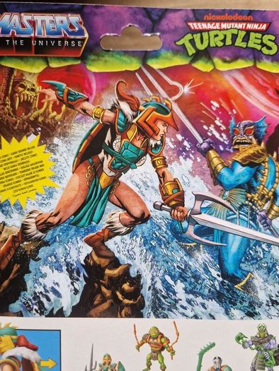 Turtles of Grayskull Teela Brand new sealed Bargain