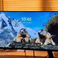 Monitor Dell 24" P2423DE QHD
