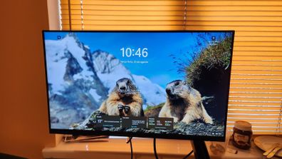Monitor Dell 24" P2423DE QHD