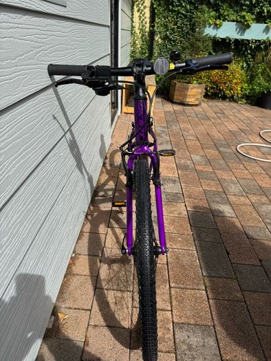 Giant ARX 24" Junior Bike - Purple