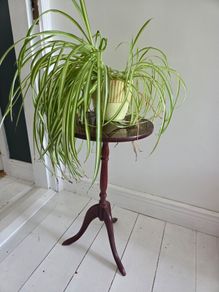 Plant Stand