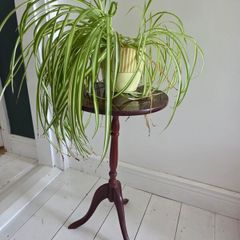 Plant Stand