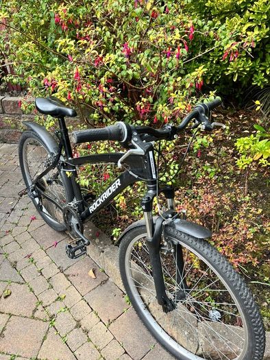 mountain bike