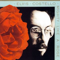 Elvis Costello 'Mighty Like A Rose'