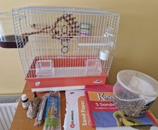 Bird Cage And Accessories