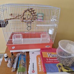 Bird Cage And Accessories