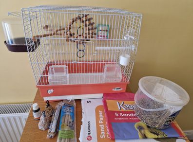 Bird Cage And Accessories