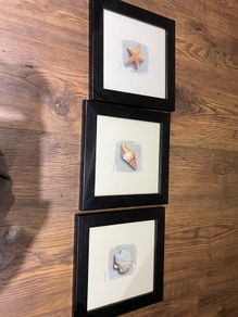 framed pics