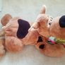 Scooby Doo - Huge Dog and Games set Image 8