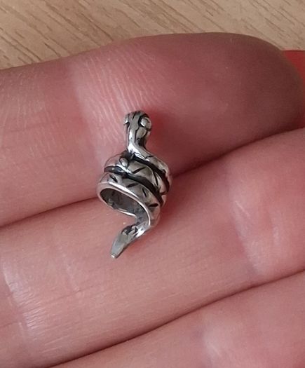 Silver snake charm