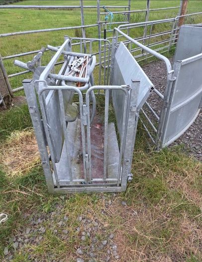 Sheep turnover crate