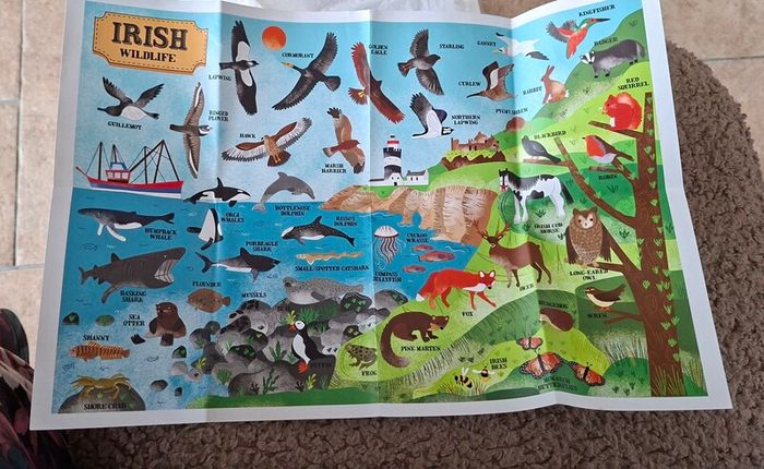 irish Wildlife 200 piece Jigsaw Puzzle