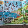 irish Wildlife 200 piece Jigsaw Puzzle Image 2