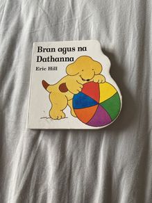 Irish language children's book