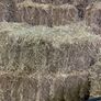 Square Bales Of Premium Quality Hay Image 8