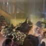fish tank Image 7
