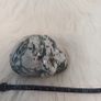 Druzy moss agate skull Image 3