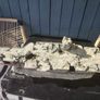Big ship Image 2