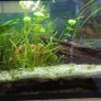 aquarium 50 liters Image 3