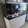 red sea reefer g2 350 Image 3