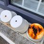 The White Company Herb Pot Trio and Tray Image 4