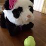 panda toy Image 4